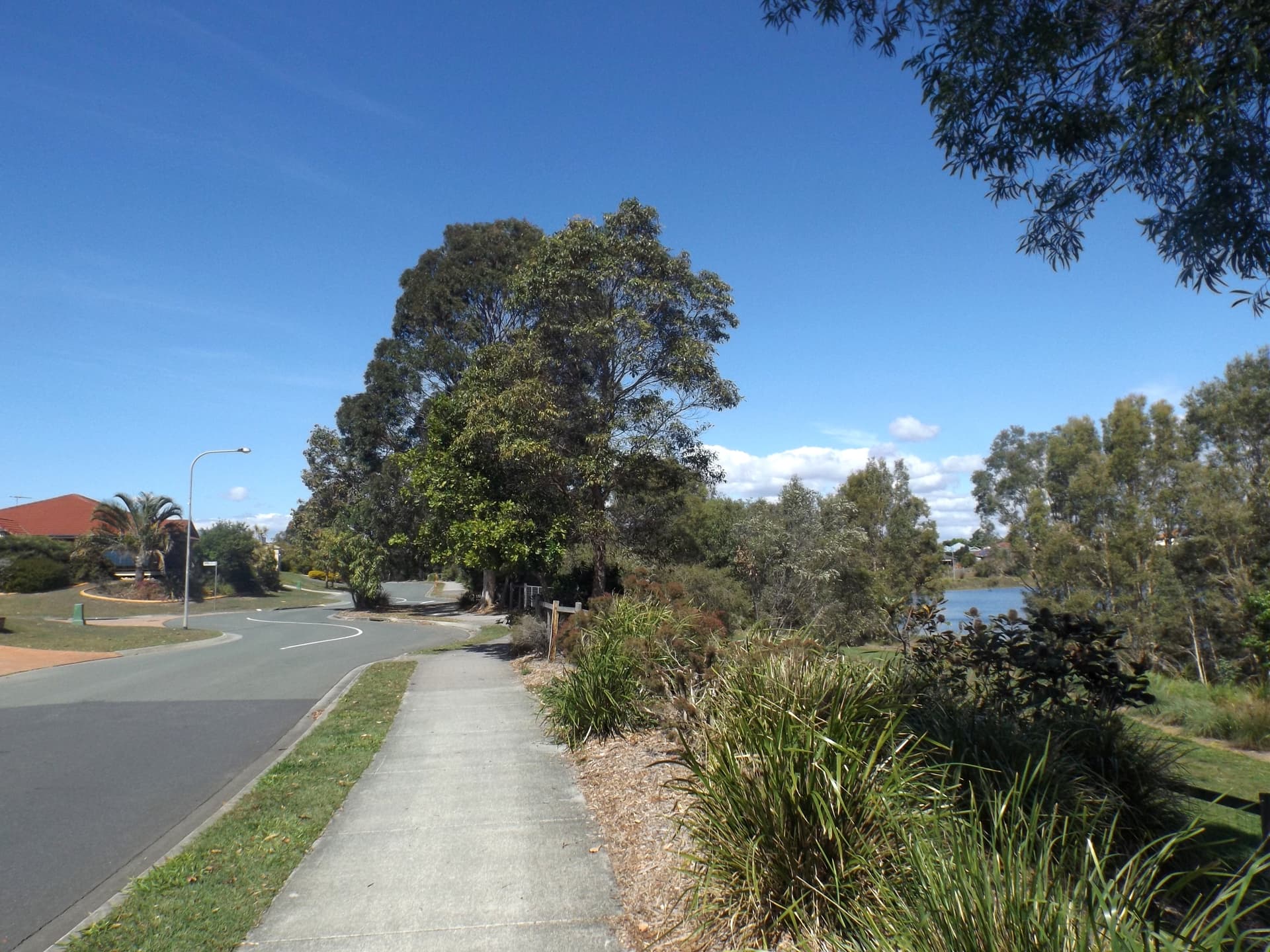Mango Hill and North Lakes Buyer Demand: What Sellers Should Watch in 2026